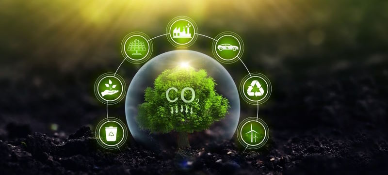 GHG Emission Calculation for Indian Companies: A Comprehensive Guide